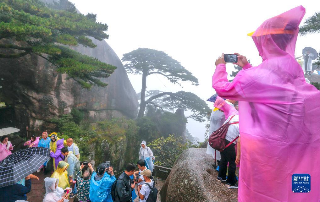 金亚洲登陆平台登录